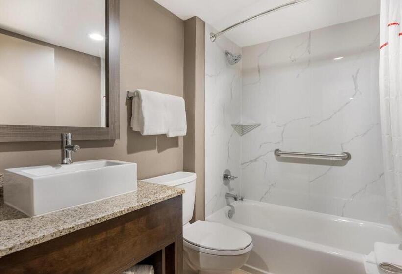 חדר דחוקס עם מיטת קינג, Red Roof Inn Sulphur