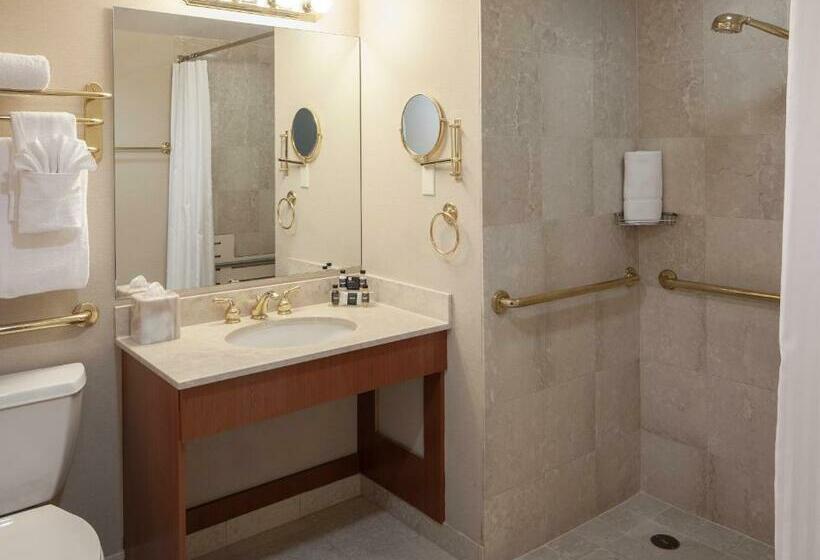 初级行政套房, The Manhattan Club