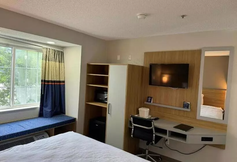 キングサイズベッドのスタンダードルーム, Microtel Inn By Wyndham Winston Salem