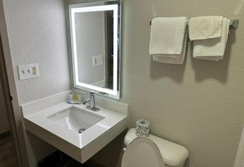带大床的标准间, Microtel Inn By Wyndham Winston Salem