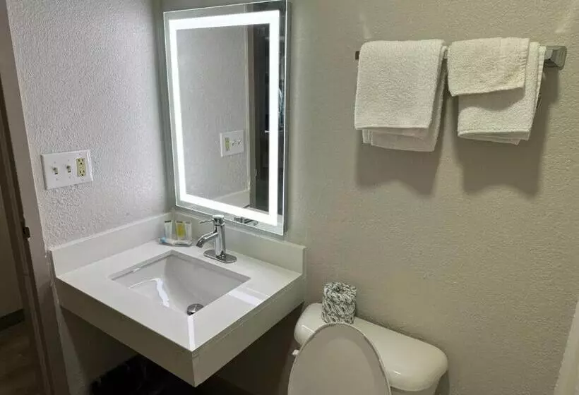 キングサイズベッドのスタンダードルーム, Microtel Inn By Wyndham Winston Salem