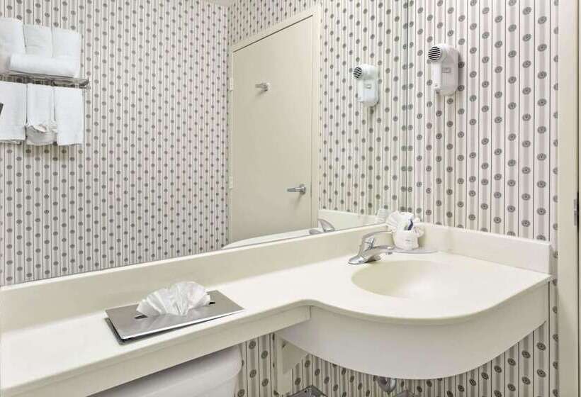 Номер Стандарт, Microtel Inn & Suites By Wyndham Denver Airport