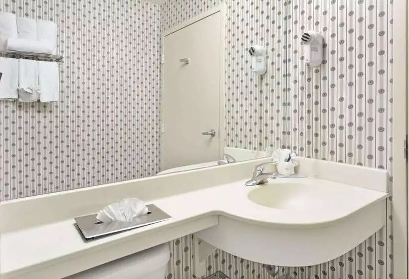 اتاق استاندارد, Microtel Inn & Suites By Wyndham Denver Airport