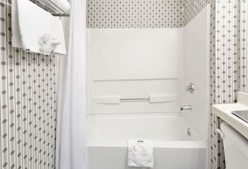 スタンダードルーム, Microtel Inn & Suites By Wyndham Denver Airport