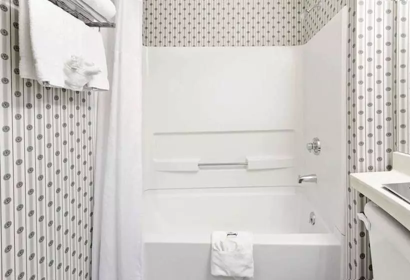 اتاق استاندارد, Microtel Inn & Suites By Wyndham Denver Airport