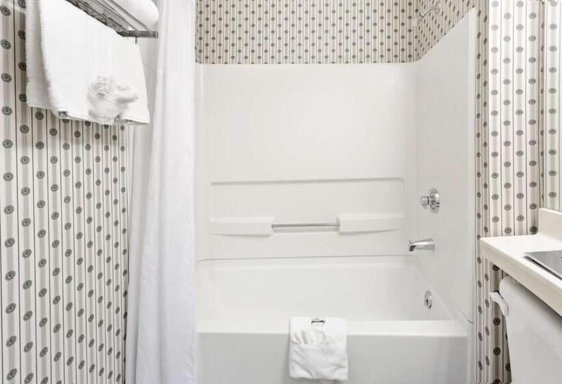 スタンダードルーム, Microtel Inn & Suites By Wyndham Denver Airport