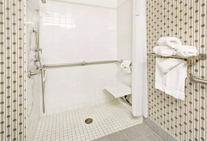 اتاق استاندارد برای معلولان, Microtel Inn & Suites By Wyndham Denver Airport