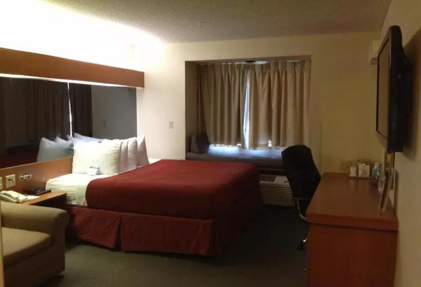 اتاق استاندارد با تخت بزرگ, Microtel Inn & Suites By Wyndham Denver Airport