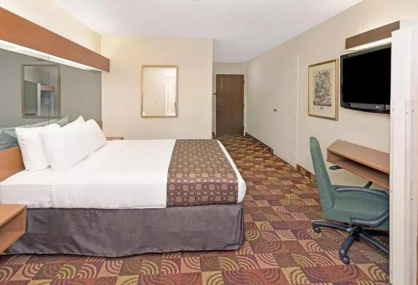اتاق استاندارد با تخت بزرگ, Microtel Inn & Suites By Wyndham Denver Airport