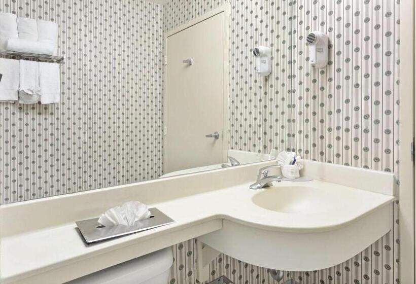 Стандартный Номер Кровать Кинг, Microtel Inn & Suites By Wyndham Denver Airport