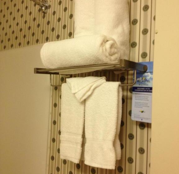 Номер Стандарт, Microtel Inn & Suites By Wyndham Denver Airport