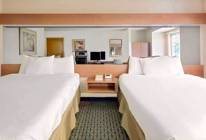 适合残疾人使用的标准间, Microtel Inn By Wyndham Winston Salem