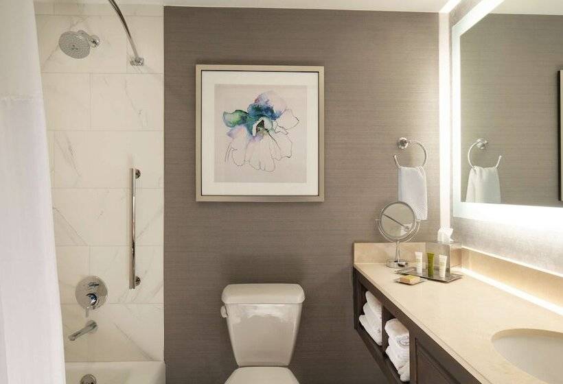 غرفة قياسية سرير مزدوج لذوى الإحتياجات الخاصة, Hilton Atlanta/marietta Hotel & Conference Center