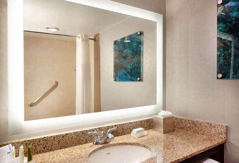 غرفة قياسية سرير كينج, Hilton Atlanta/marietta Hotel & Conference Center