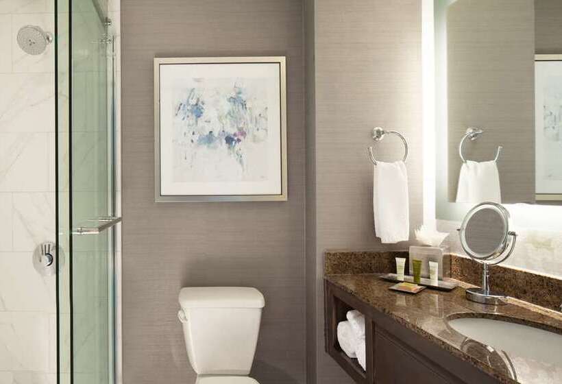 جناح جونيور سرير كينج, Hilton Atlanta/marietta Hotel & Conference Center