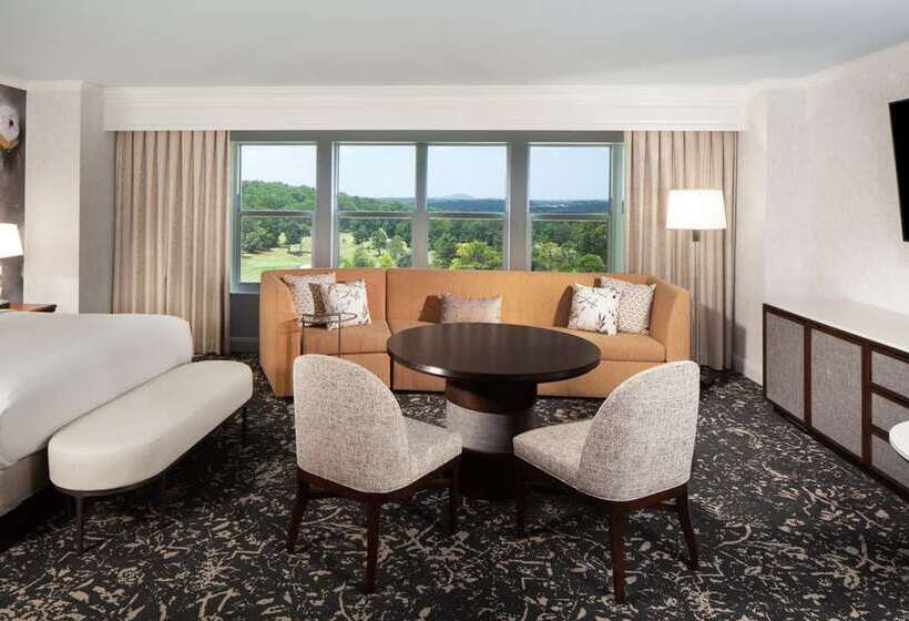 جناح جونيور سرير كينج, Hilton Atlanta/marietta Hotel & Conference Center