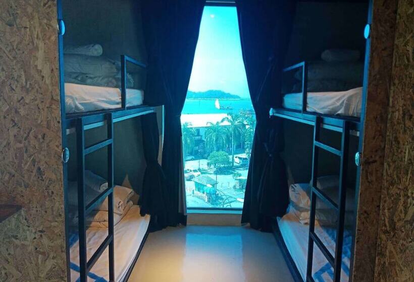 共用房间的床, Homy Seafront Hostel