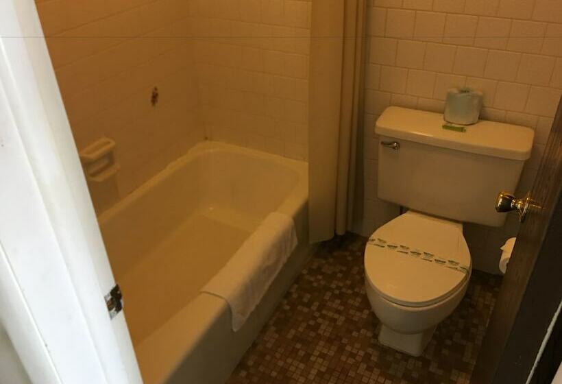 غرفة قياسية فردية سرير مزدوج, Flag's West Motel