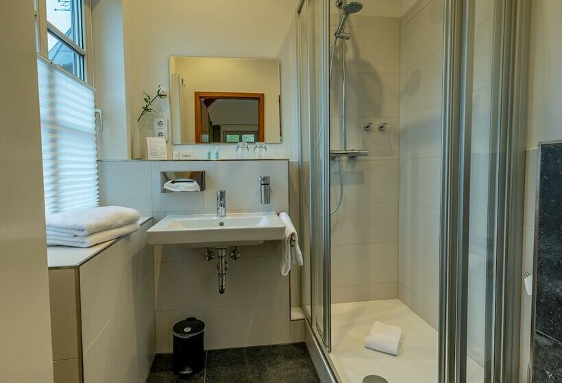 スタンダードルーム, Butz