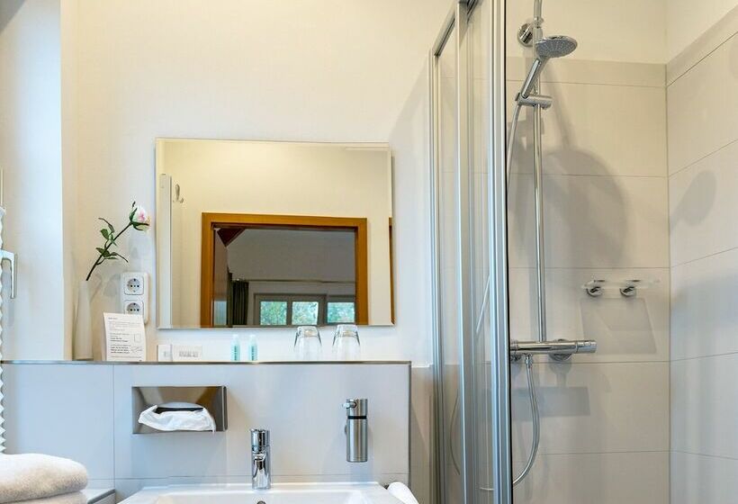 スタンダードルーム, Butz