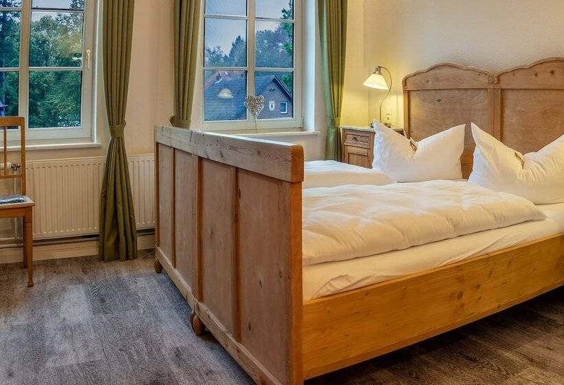 スタンダードルーム, Butz