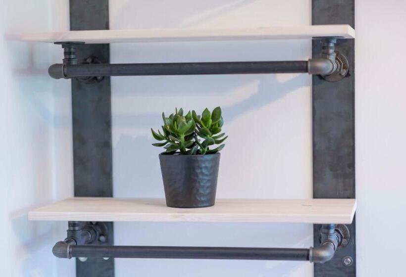 スタンダードルーム, Butz