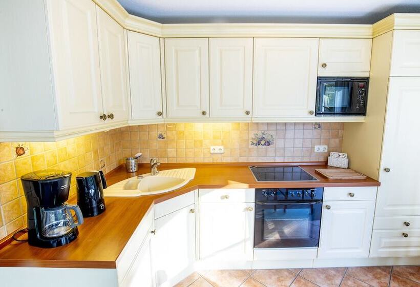 テラス付き1ベッドルームアパートメント, Butz