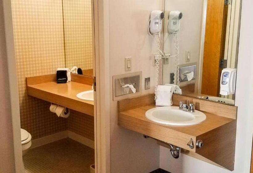 غرفة قياسية, Ivey S Motor Lodge