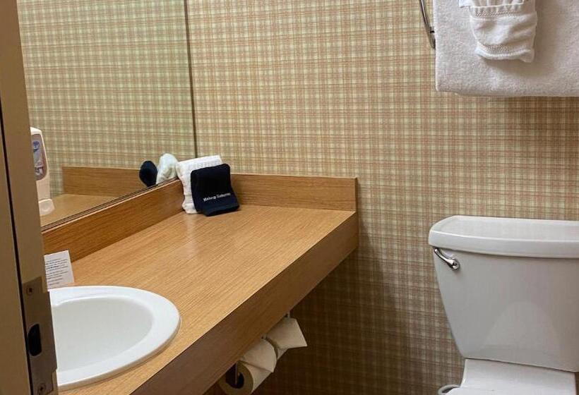 غرفة قياسية, Ivey S Motor Lodge