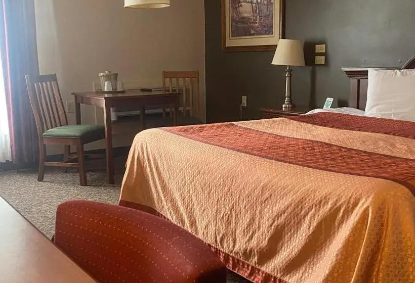 キングサイズベッドのスタンダードルーム, Ivey S Motor Lodge