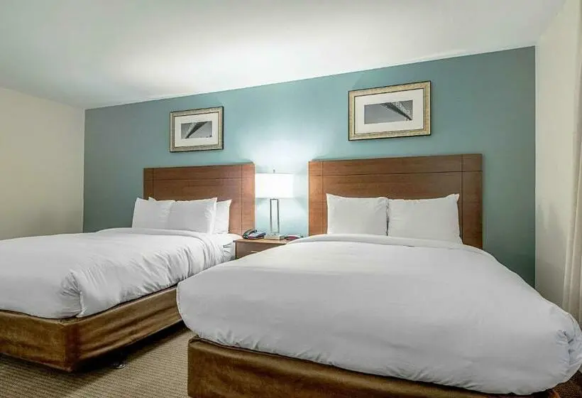 スイート, Mainstay Suites Geismar  Gonzales