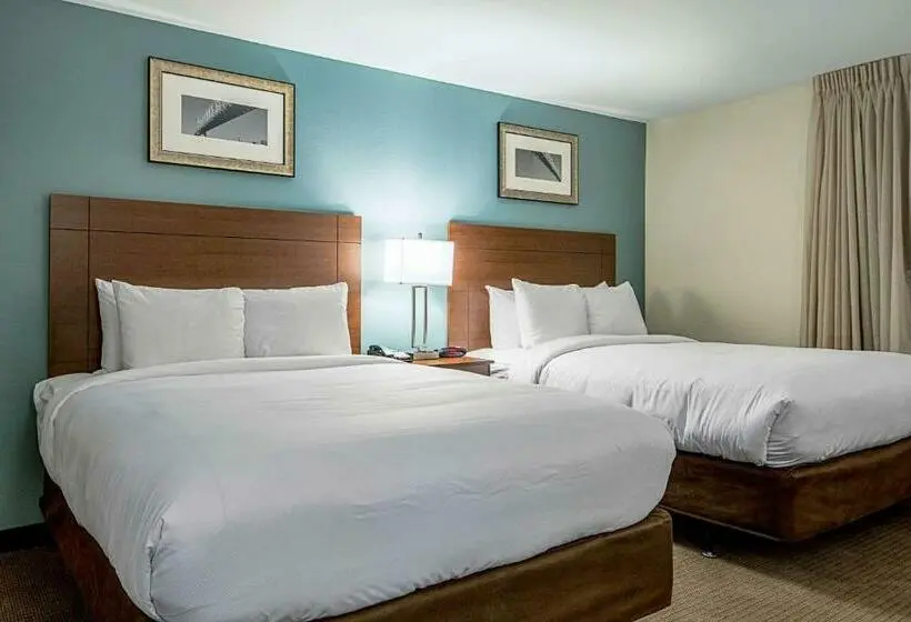 スイート, Mainstay Suites Geismar  Gonzales