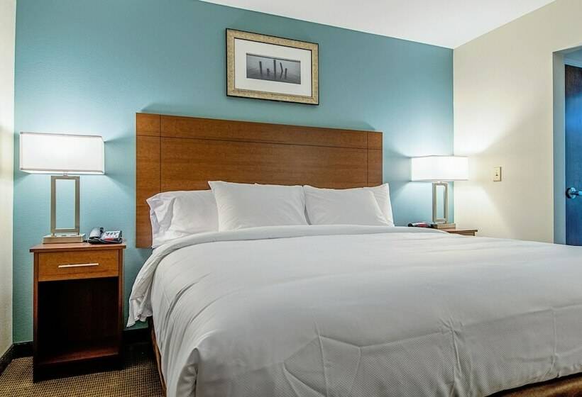 סוויטה, Mainstay Suites Geismar  Gonzales