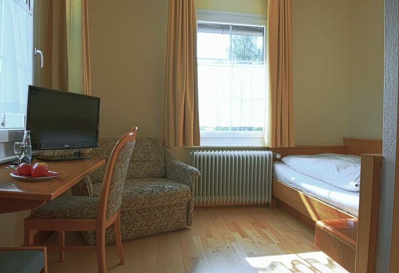 غرفة قياسية فردية, Berghotel Heiligenberg