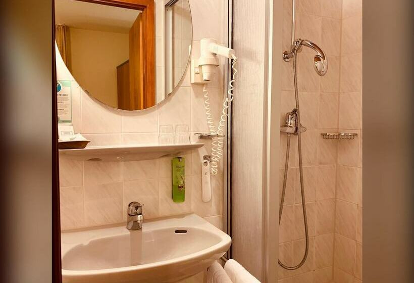 غرفة قياسية فردية, Berghotel Heiligenberg