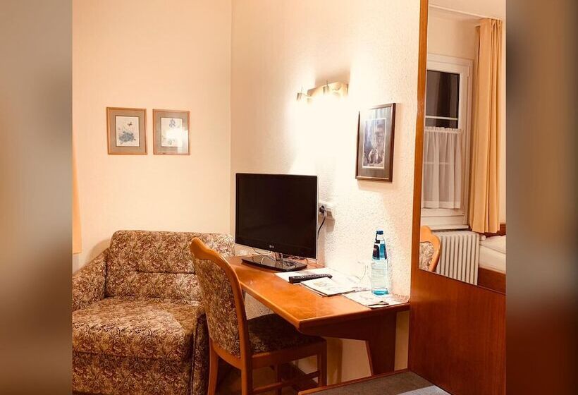 غرفة قياسية فردية, Berghotel Heiligenberg