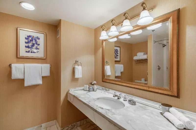 اتاق لوکس, Omni Las Colinas