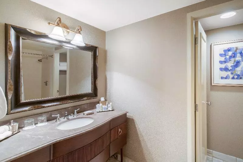 سوئیت با تخت بزرگ, Omni Las Colinas