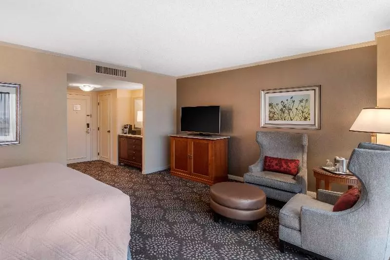 اتاق لوکس با تخت بزرگ, Omni Las Colinas