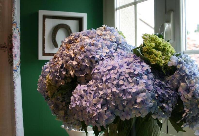 豪华房间, Casa Leopoldo Camino De Santiago