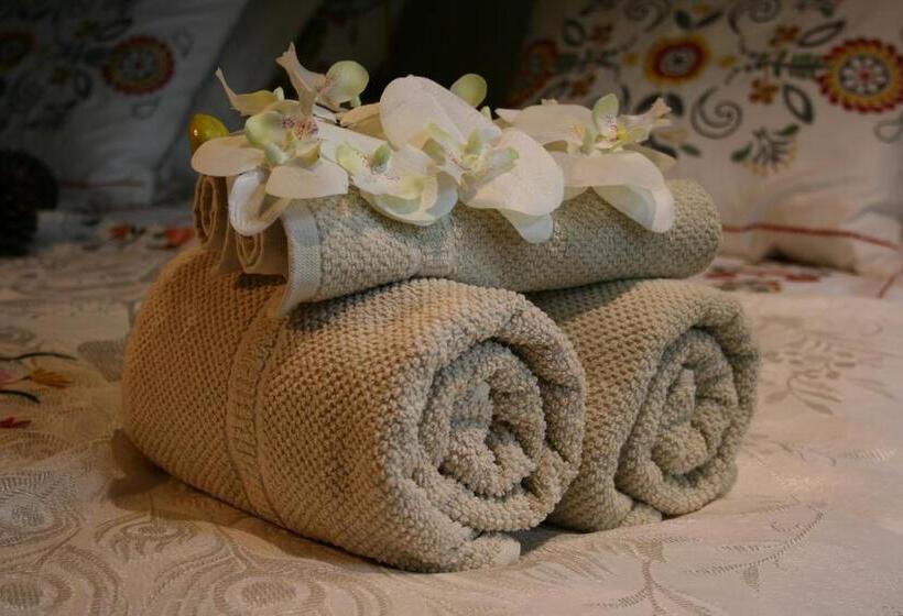 标准单人间, Casa Leopoldo Camino De Santiago