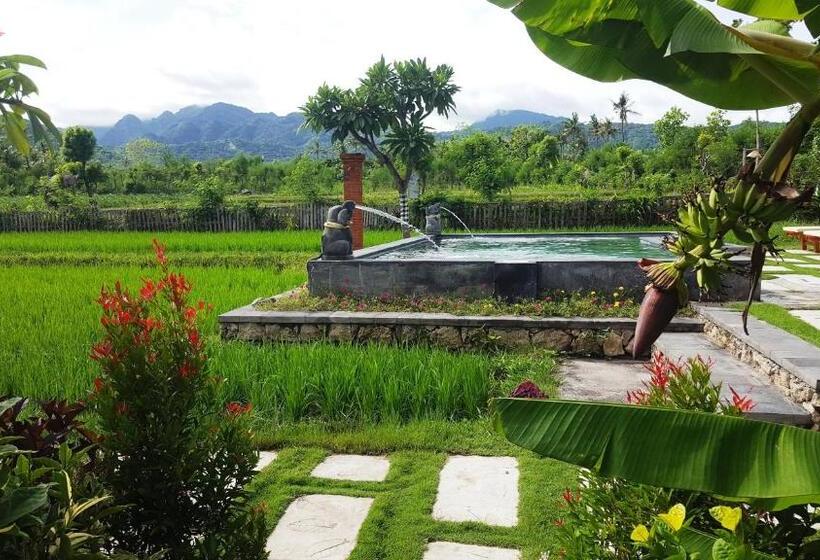 Номер Deluxe Вид на Горы, Umma Bali Menjangan Retreat