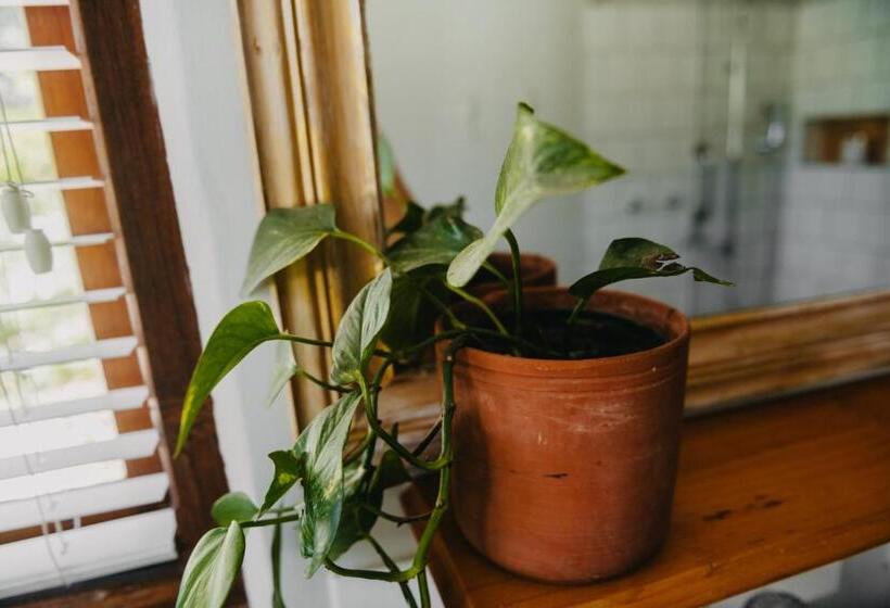 غرفة سوبيريور سرير كينج, The Bethesda