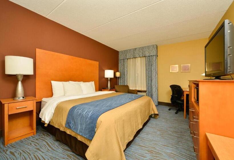 身障者適用キングサイズベッドルーム, Spark By Hilton Plymouth