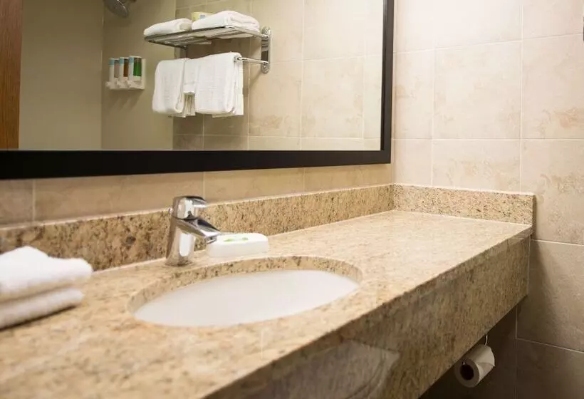 اتاق لوکس, Pear Tree Inn Cape Girardeau Medical Center
