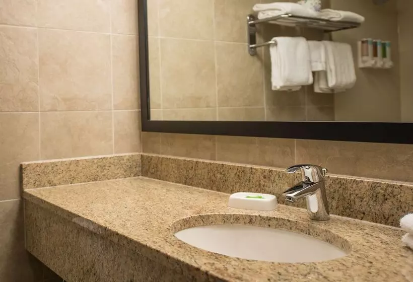 اتاق لوکس, Pear Tree Inn Cape Girardeau Medical Center