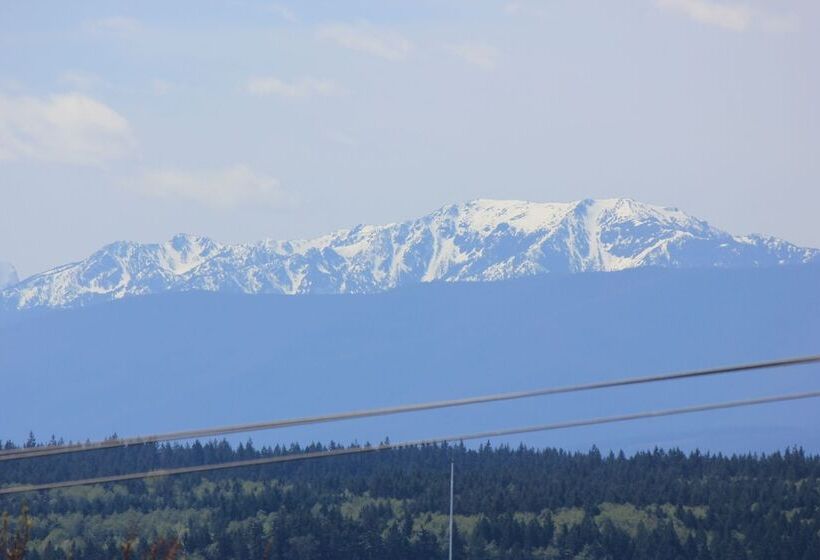 غرفة ديلوكس سرير ملكى, Port Townsend Inn