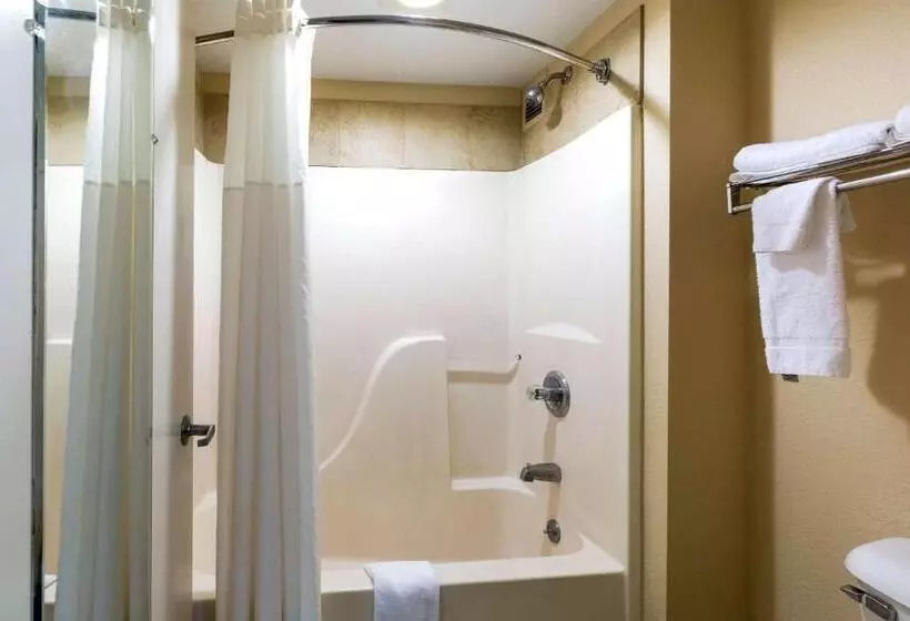 Standard-huone King-vuode, Quality Inn