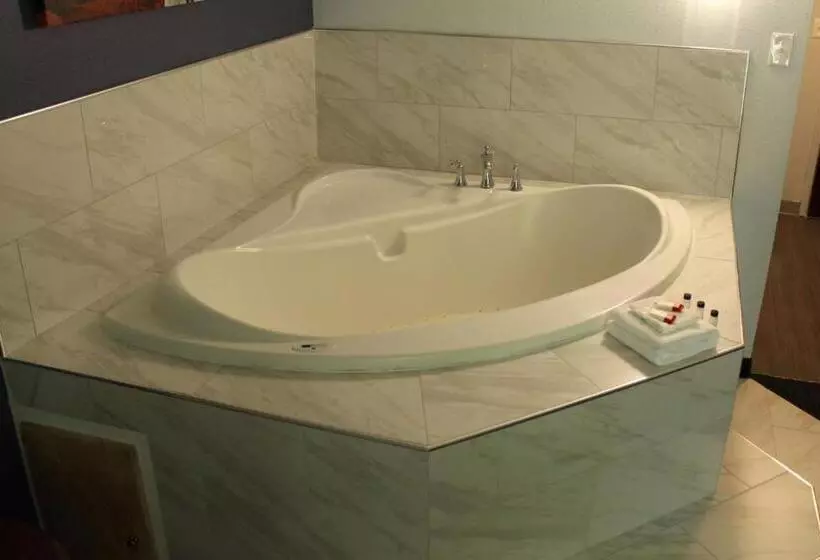 デラックススタジオ, Travelodge By Wyndham Water S Edge Hotel   Racine