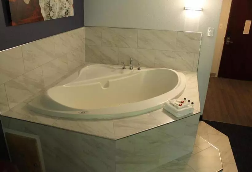 デラックススタジオ, Travelodge By Wyndham Water S Edge Hotel   Racine